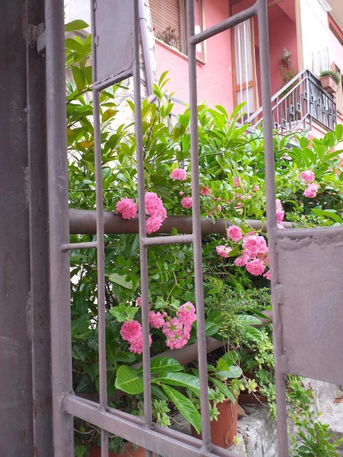 Bed & Breakfast La Rosa Rossa Cagli Exterior photo